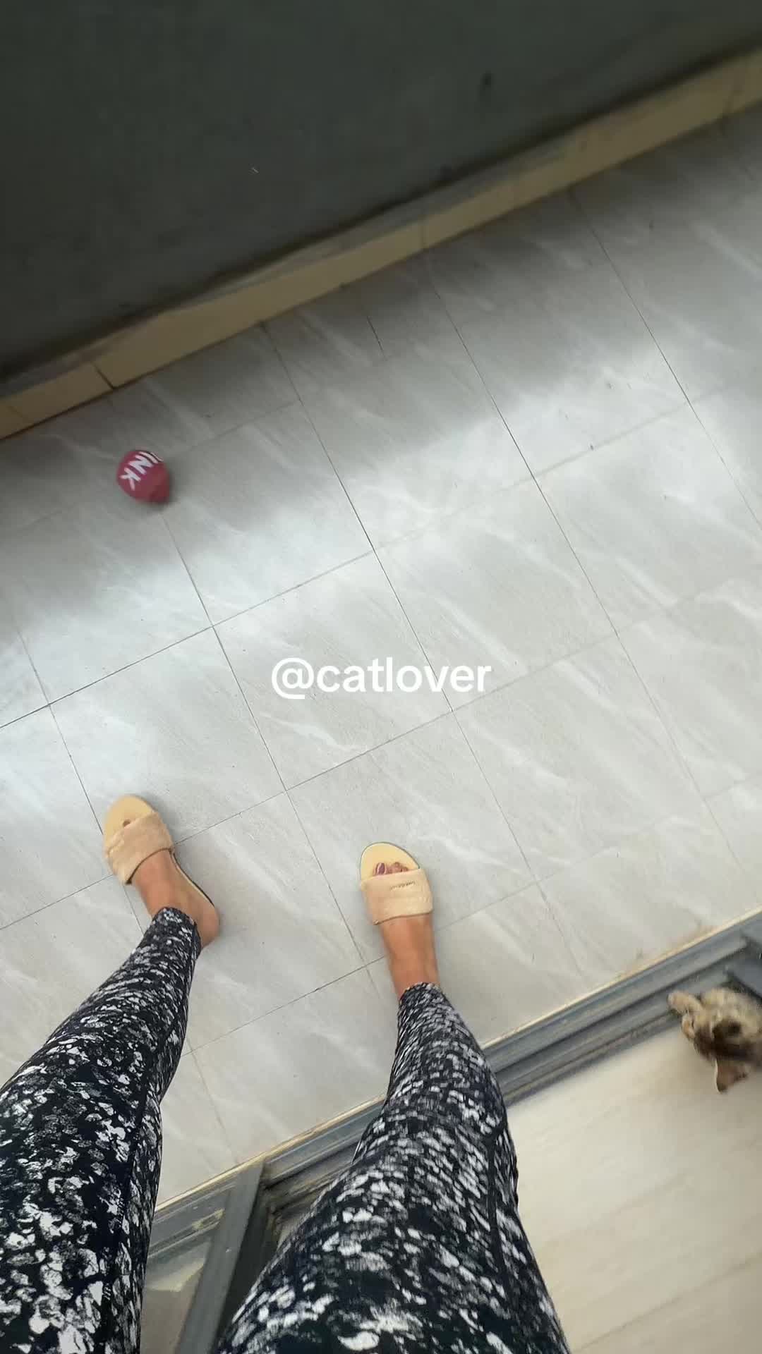 @H_lina_36
