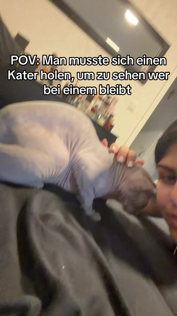 @Ekaterini Tsirikou