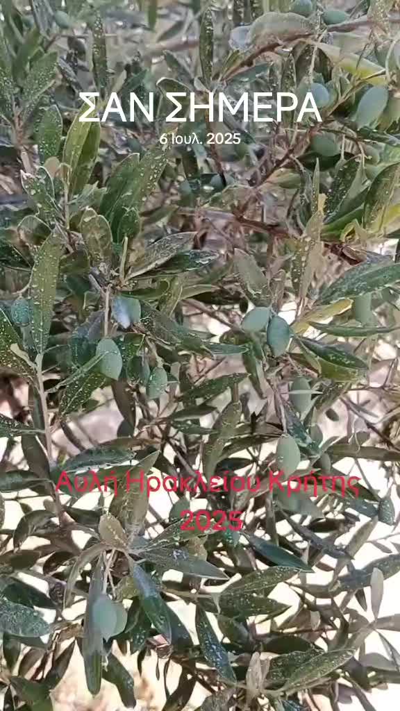 @&Alpha;&gamma;&alpha;&lambda;&iota;&alpha;&nu;ό&sigmaf; &Iota;&omega;ά&nu;&nu;&eta;&sigmaf; &Gamma;&epsilon;&omega;&pi;ό&nu;&omicron;&sigmaf;