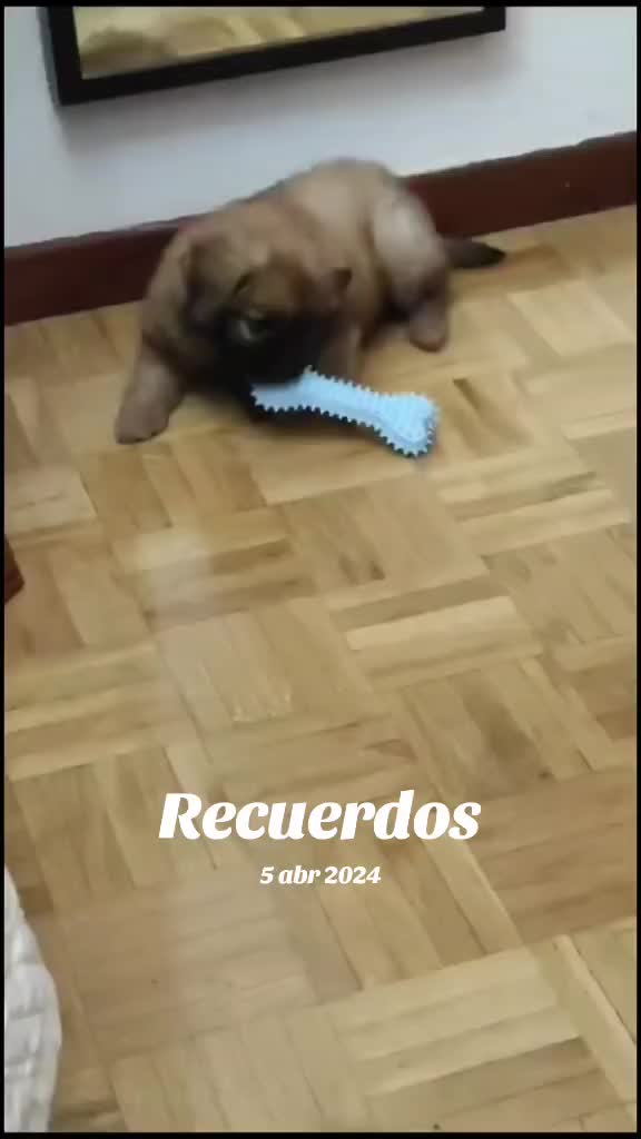 @Kinder