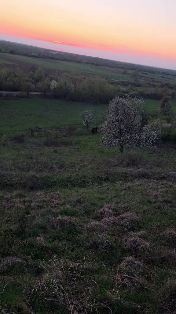 @Alex Carabas600