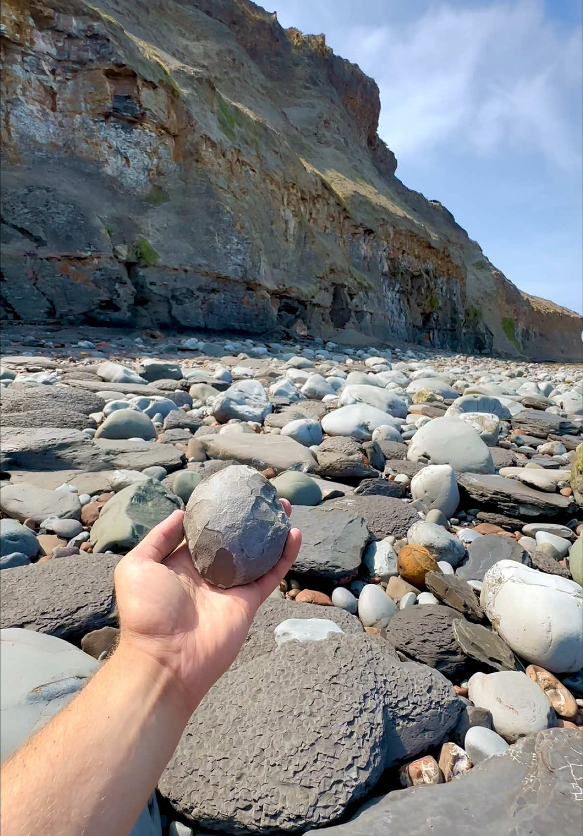 @yorkshire.fossils