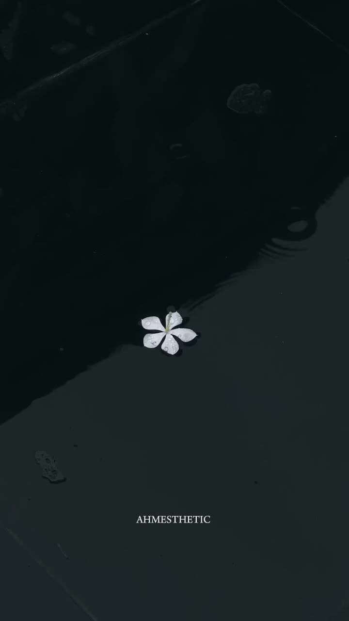@𝘼𝙃𝙈𝙀𝘿 🫀