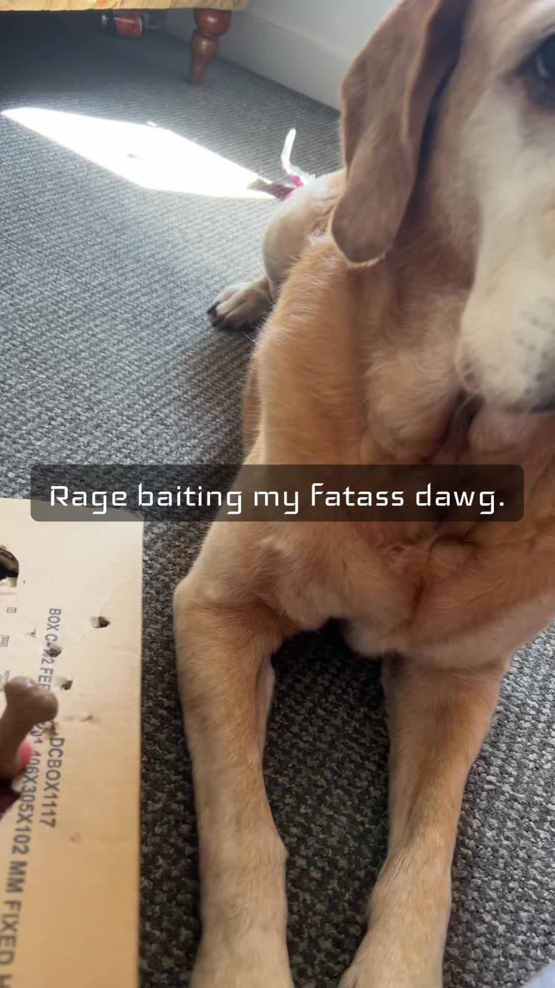 @erm1tsscar11111111111111