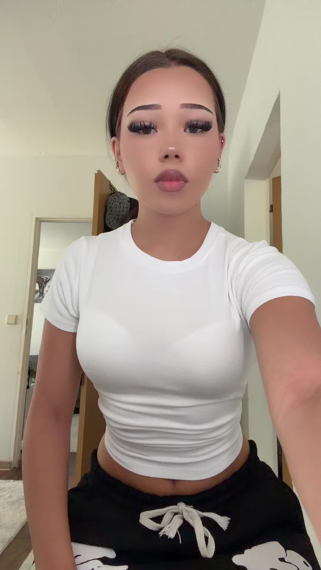 @🦈