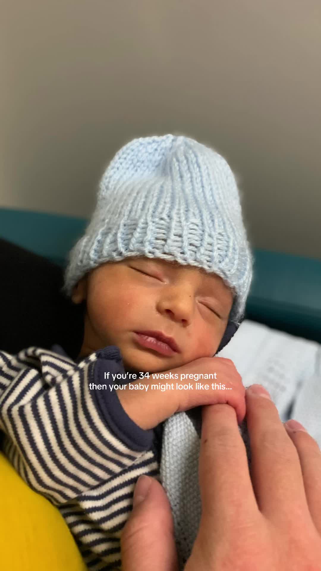 @zoeandherpreemies