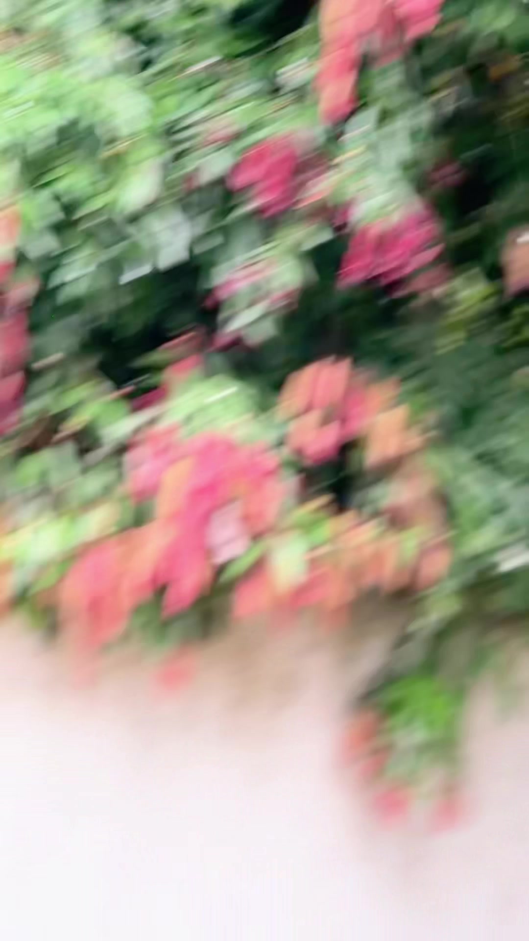 @Nethmi Fernando 🍄🤍👀