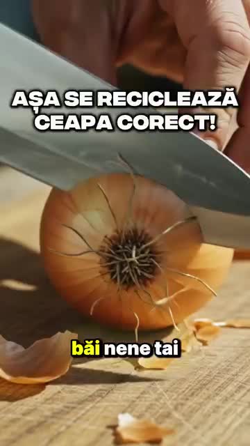 @Maryanna