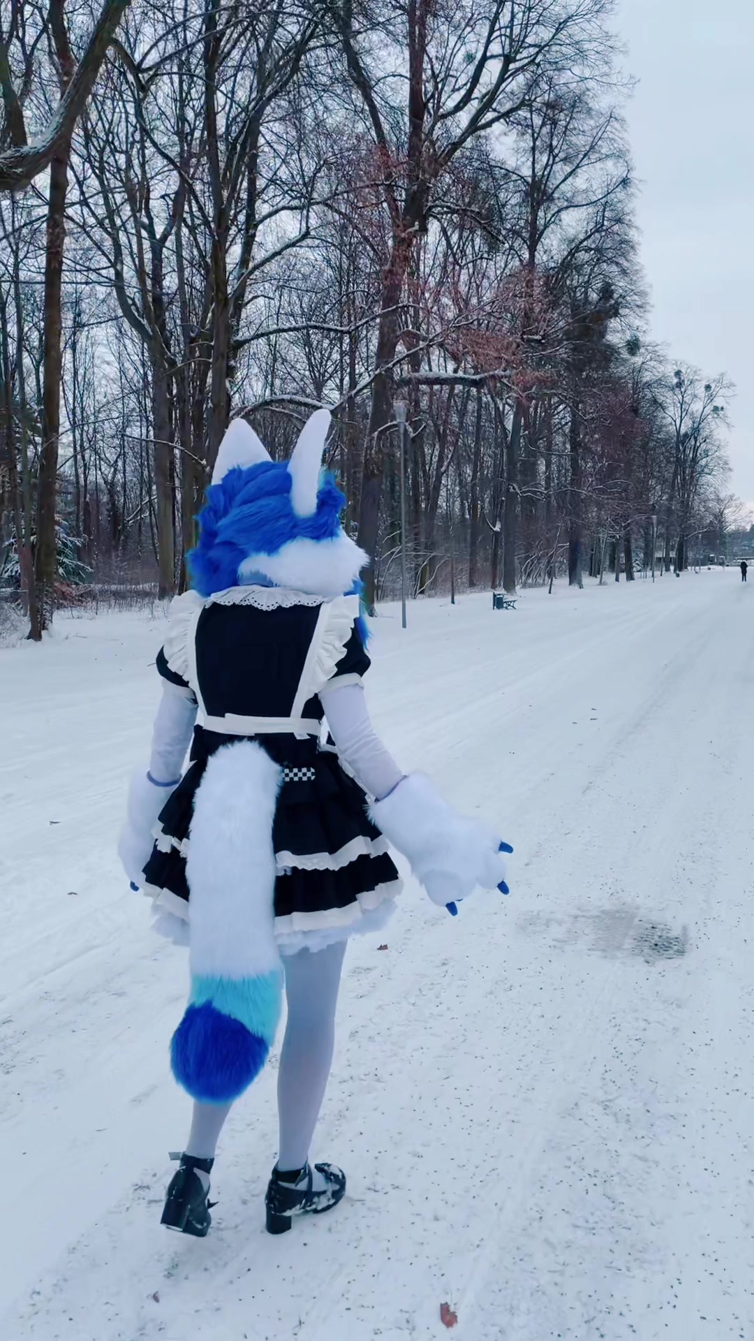 @Akushi Bluepaws 💙🐾