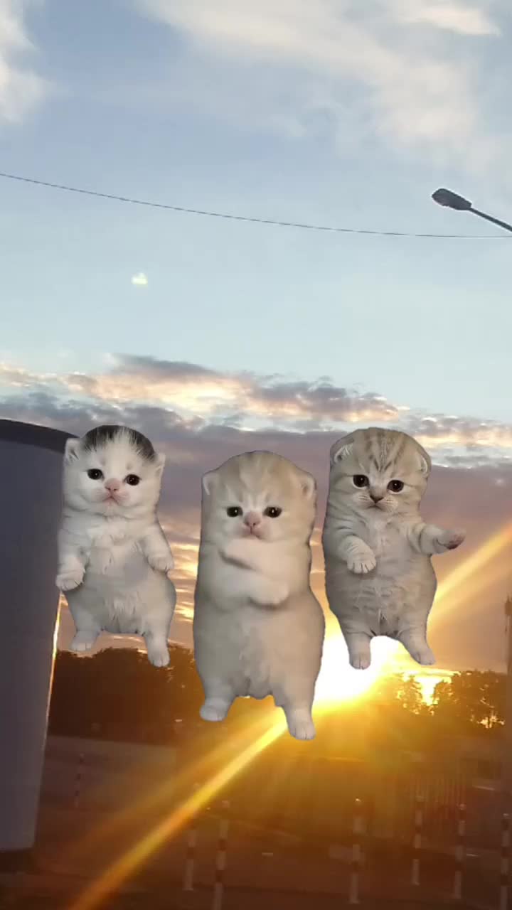 @@Mari_1357