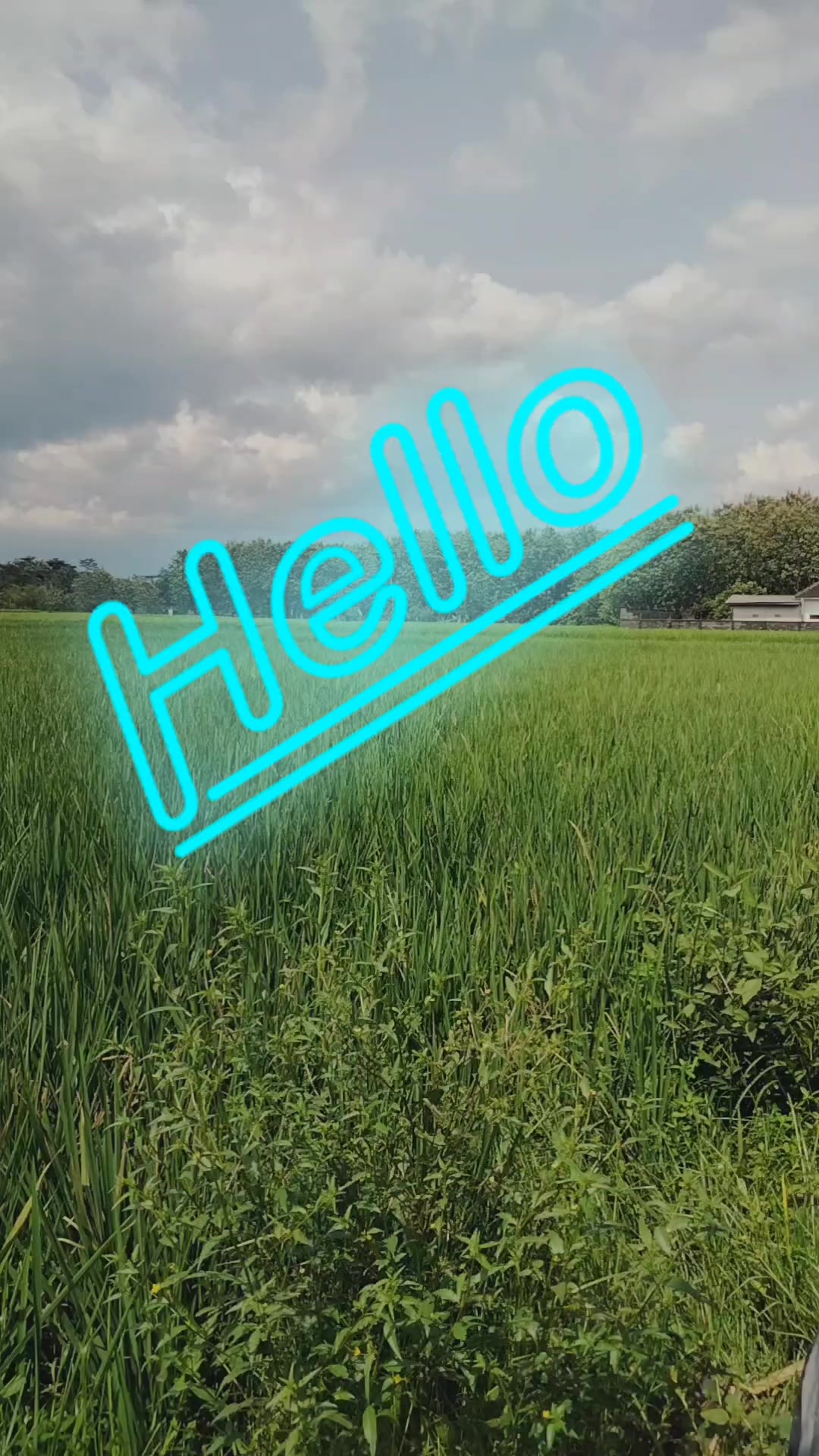 @Kang Chipeng