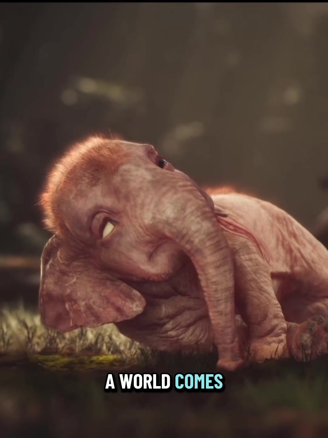 @vibegamingnet