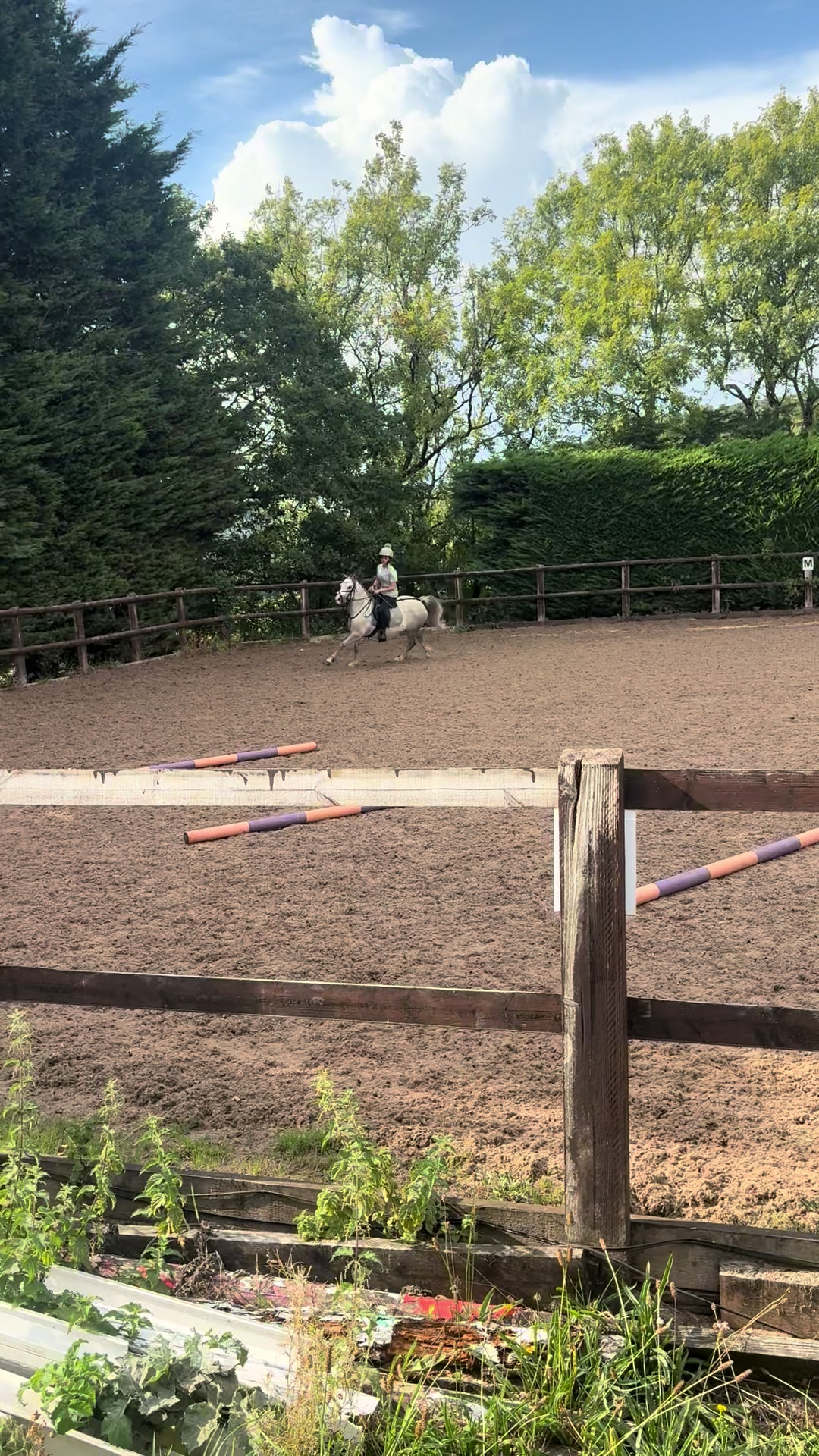 @poppy 🌾🐴 🇬🇧