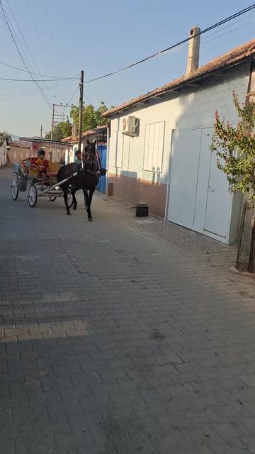 @Nilüfer isa türek