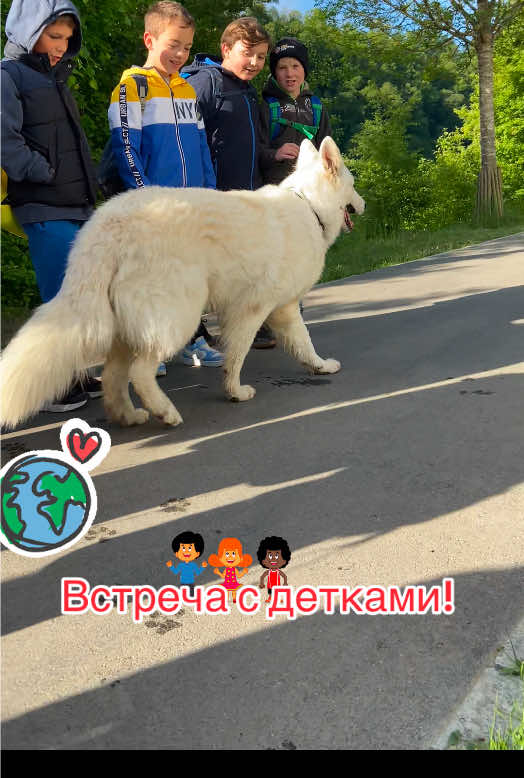 @white_ange_dog