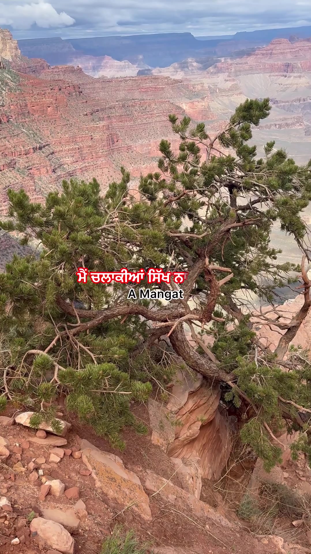 @A Mangat