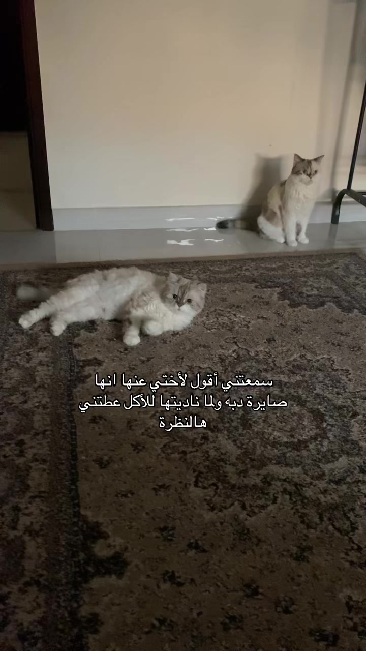 @MILA🤍LUNA
