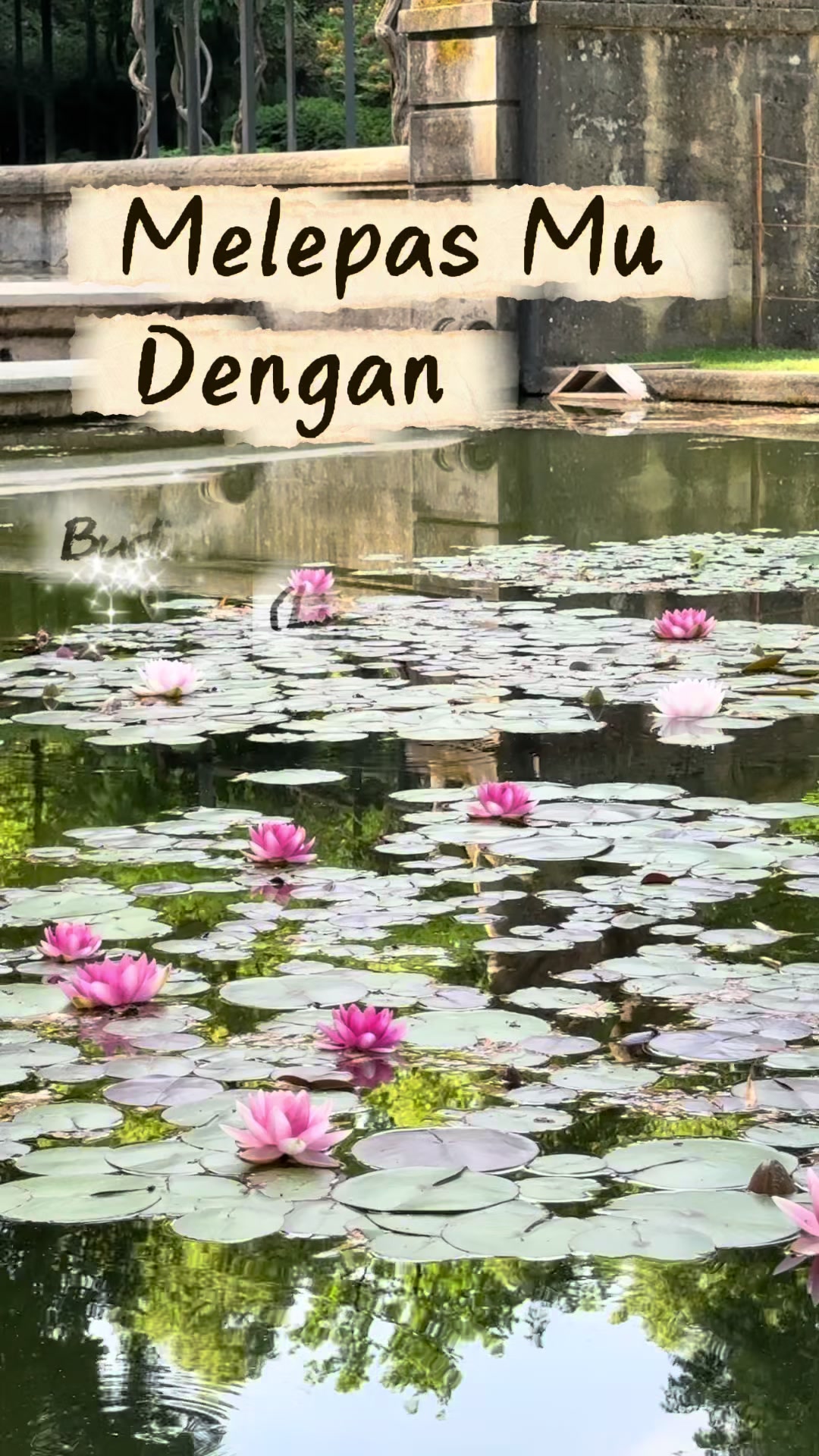 @BudimannCH 🇮🇩🇨🇭