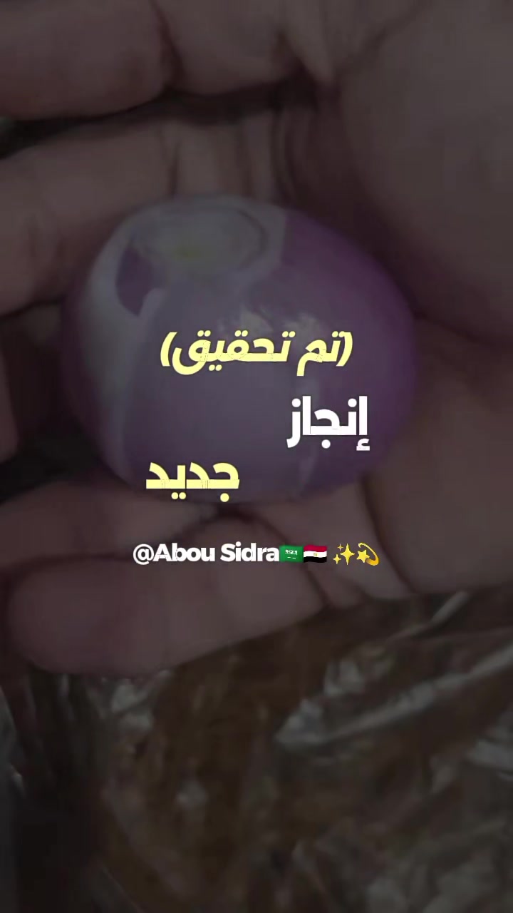 @Abou Sidra๐ธ๐ฆ๐ช๐ฌ โจ๐ซ