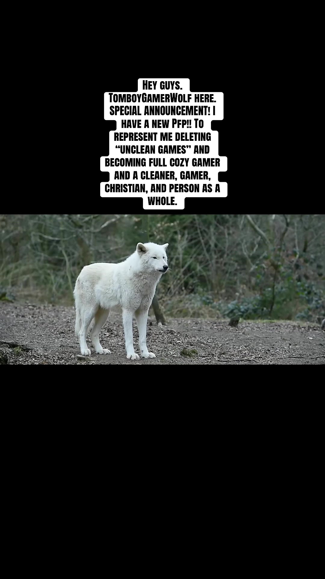 @TomboyGamerWolf