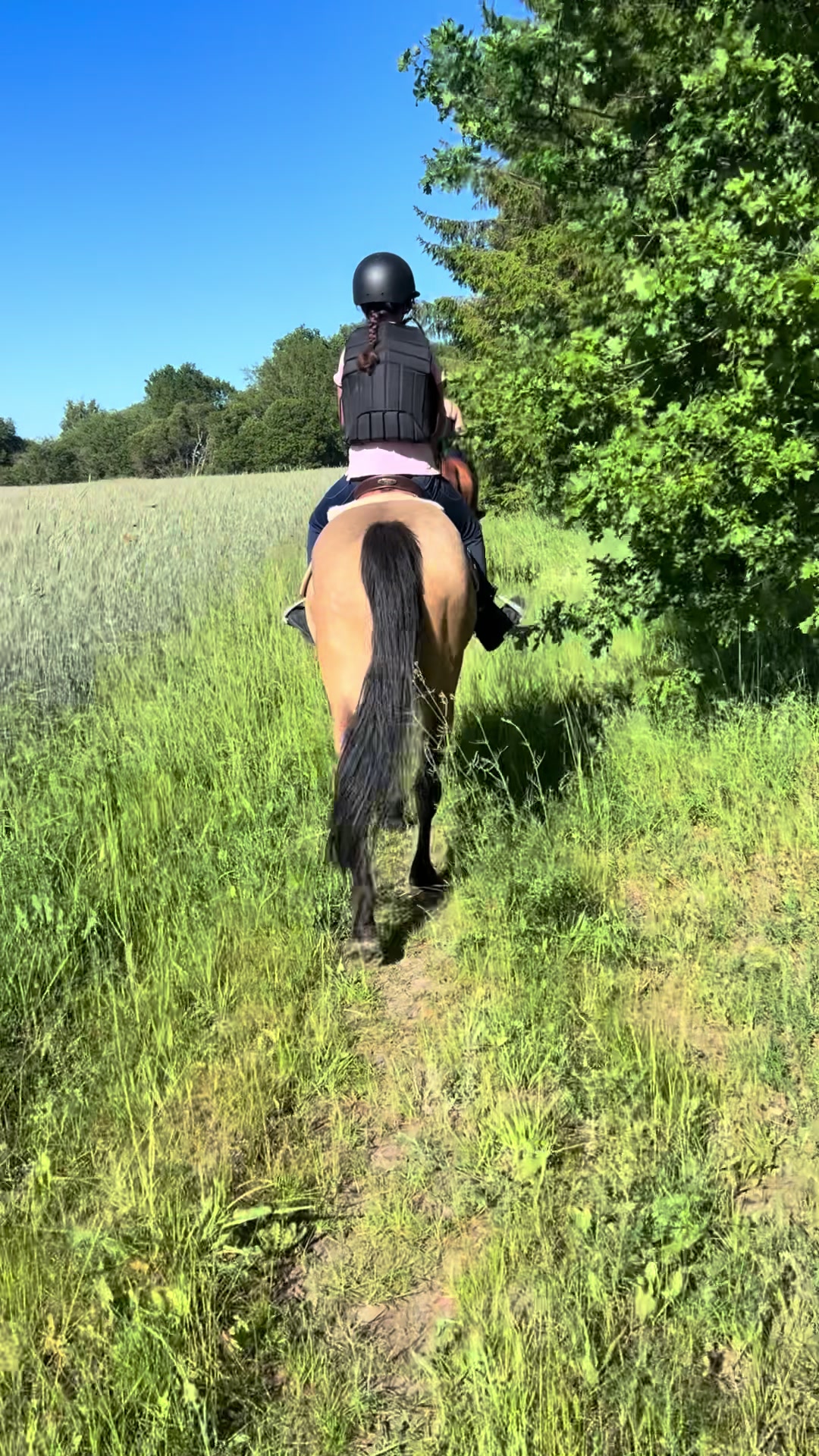 @skritt.trav.galopp