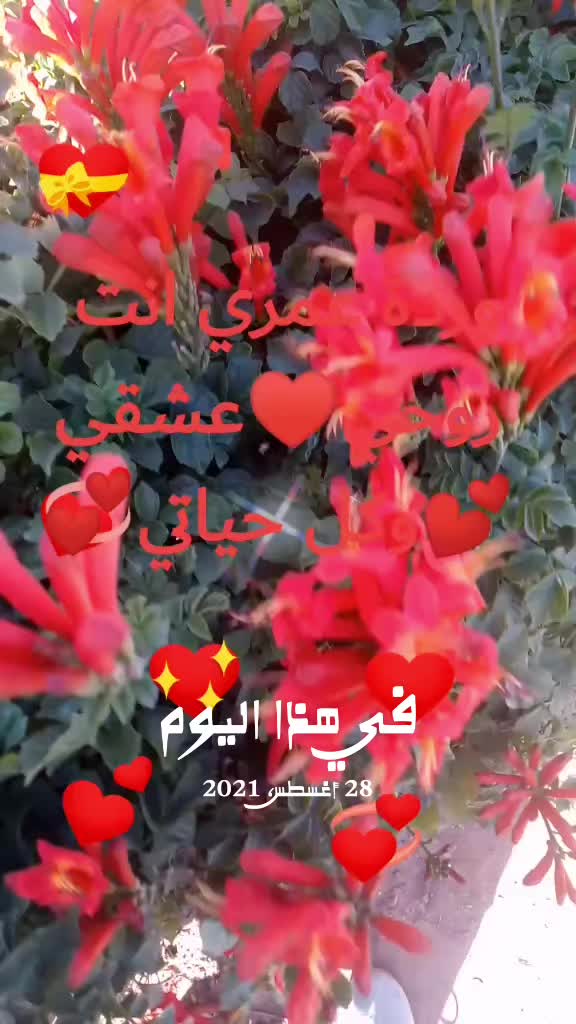 @🎀Nassma👑🇲🇦🦋