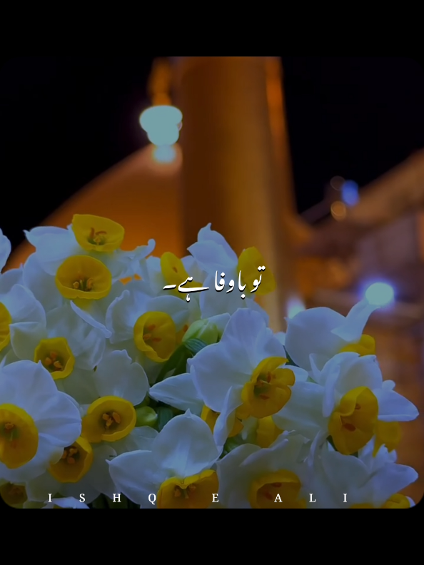 @𝙄𝙎𝙃𝙌 𝙀 𝘼𝙇𝙄 🙌🏻🚩
