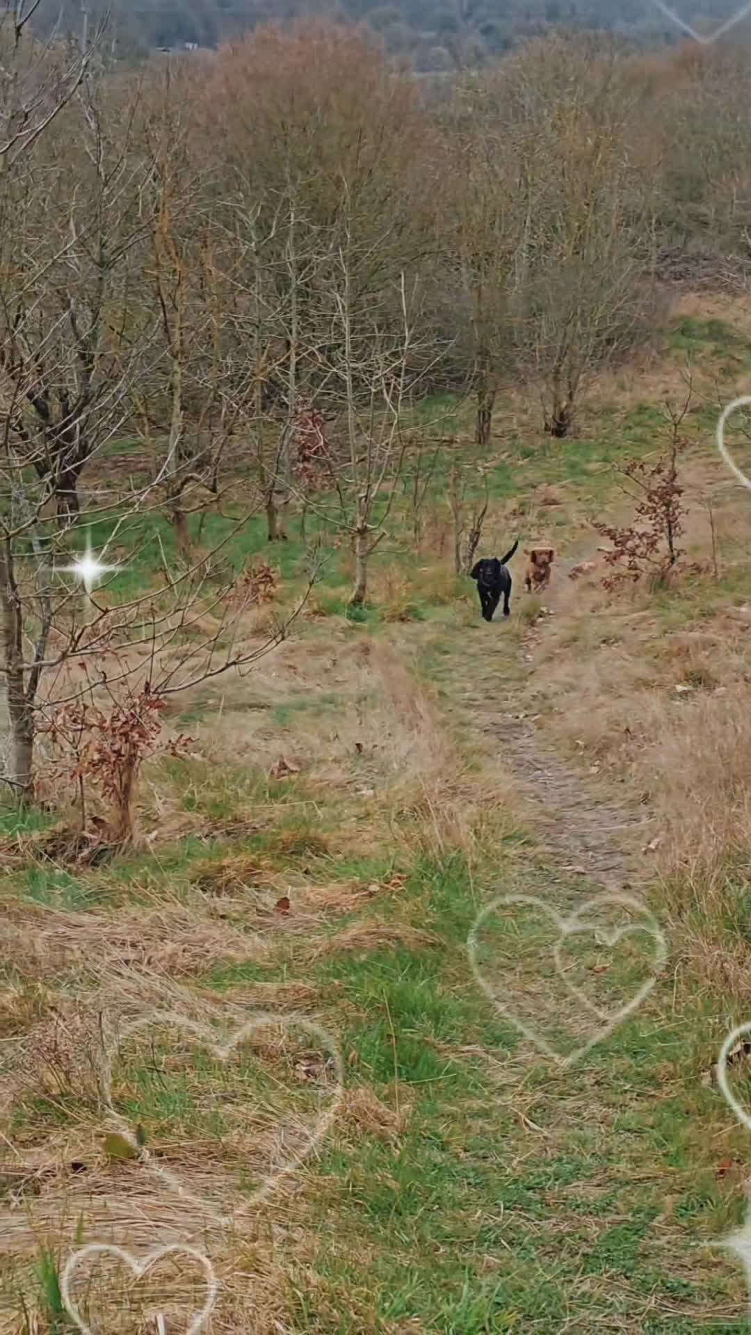 @50ShadesofYorkshire