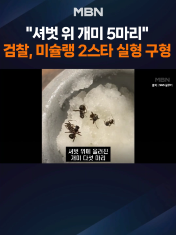 @MBN NEWS