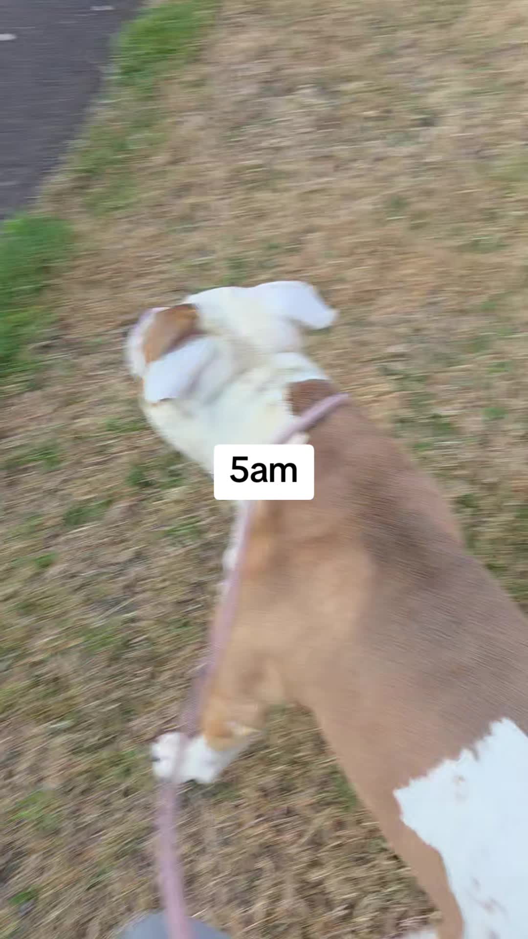 @littlejames
