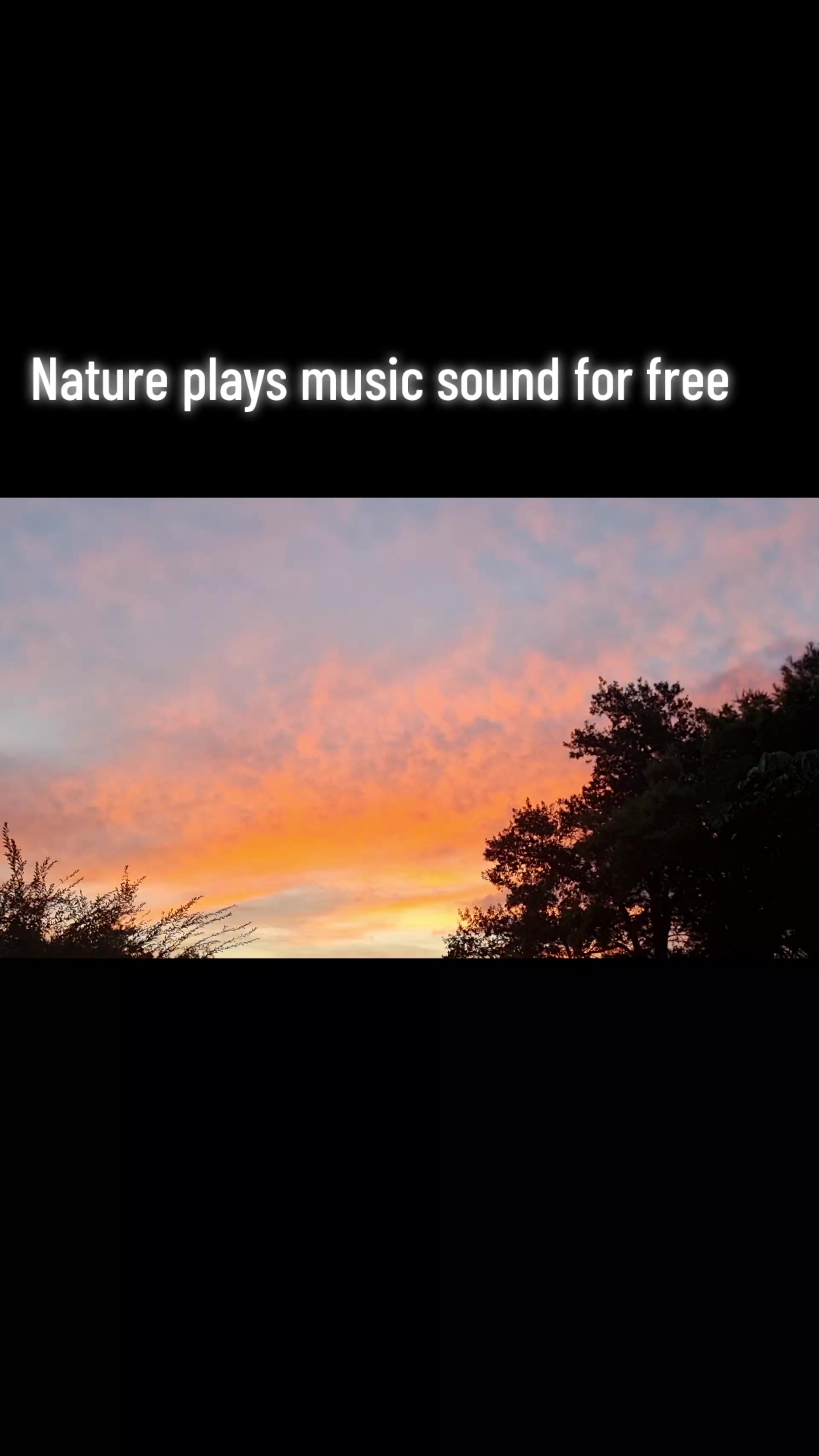 @Pandora