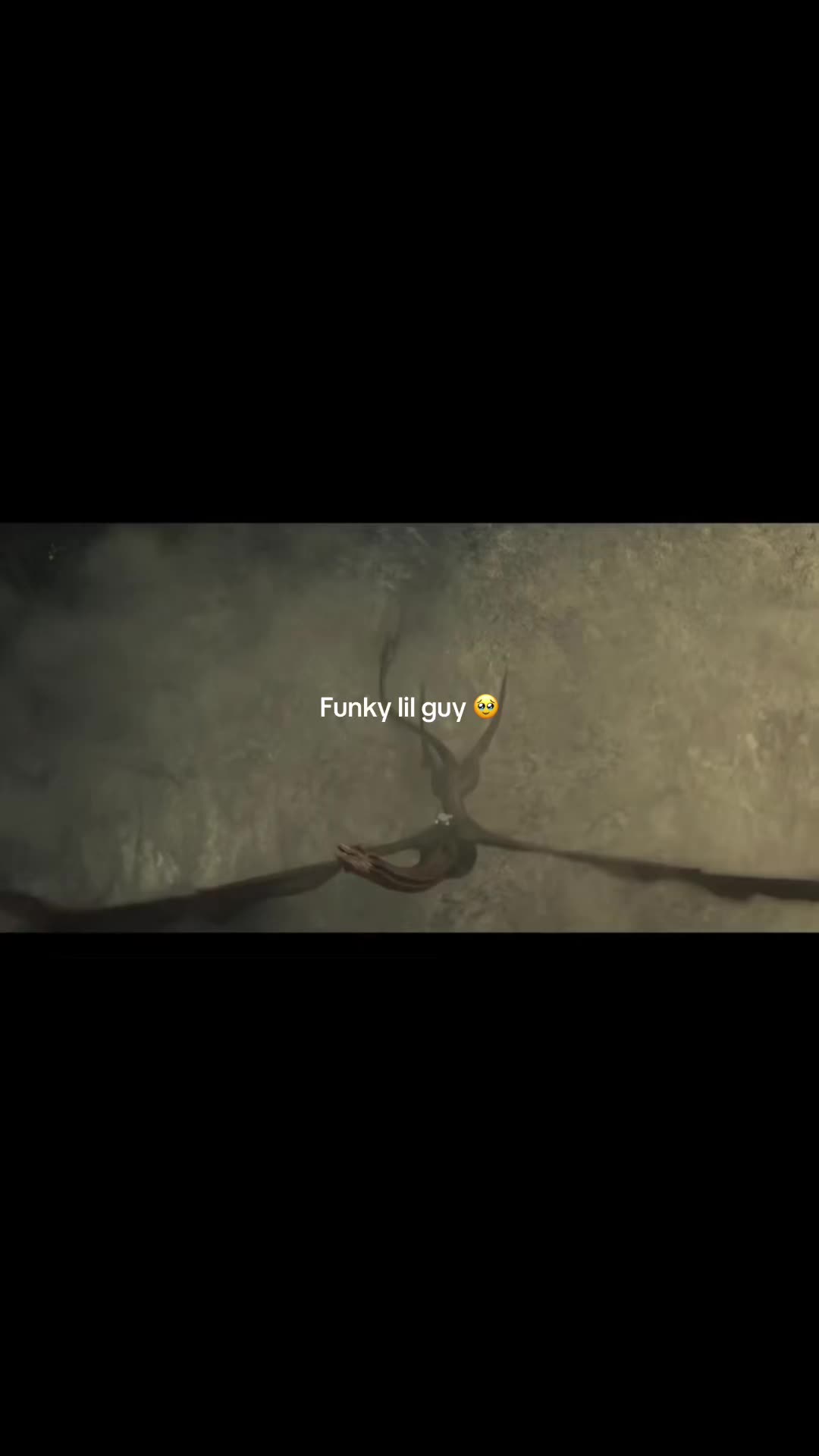 @🦕