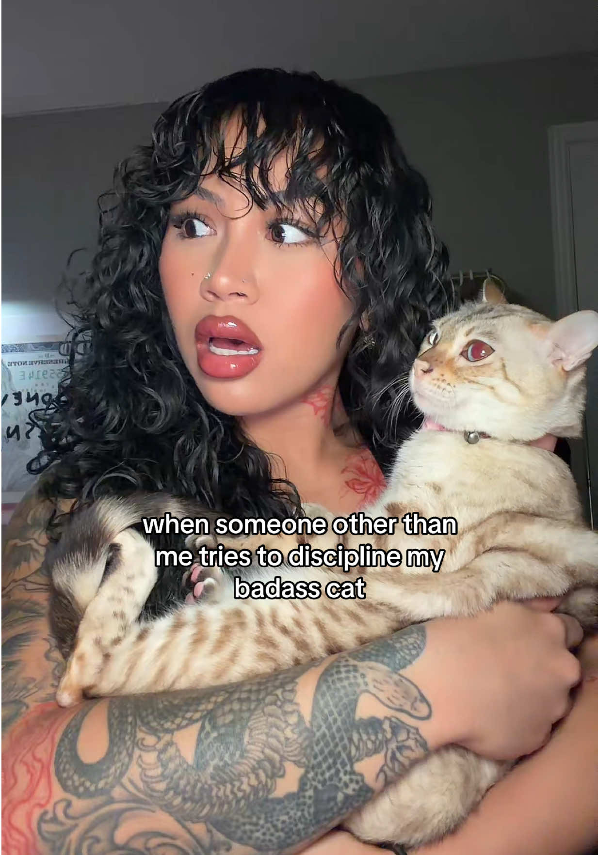 @Mirajane The Bengal🐾