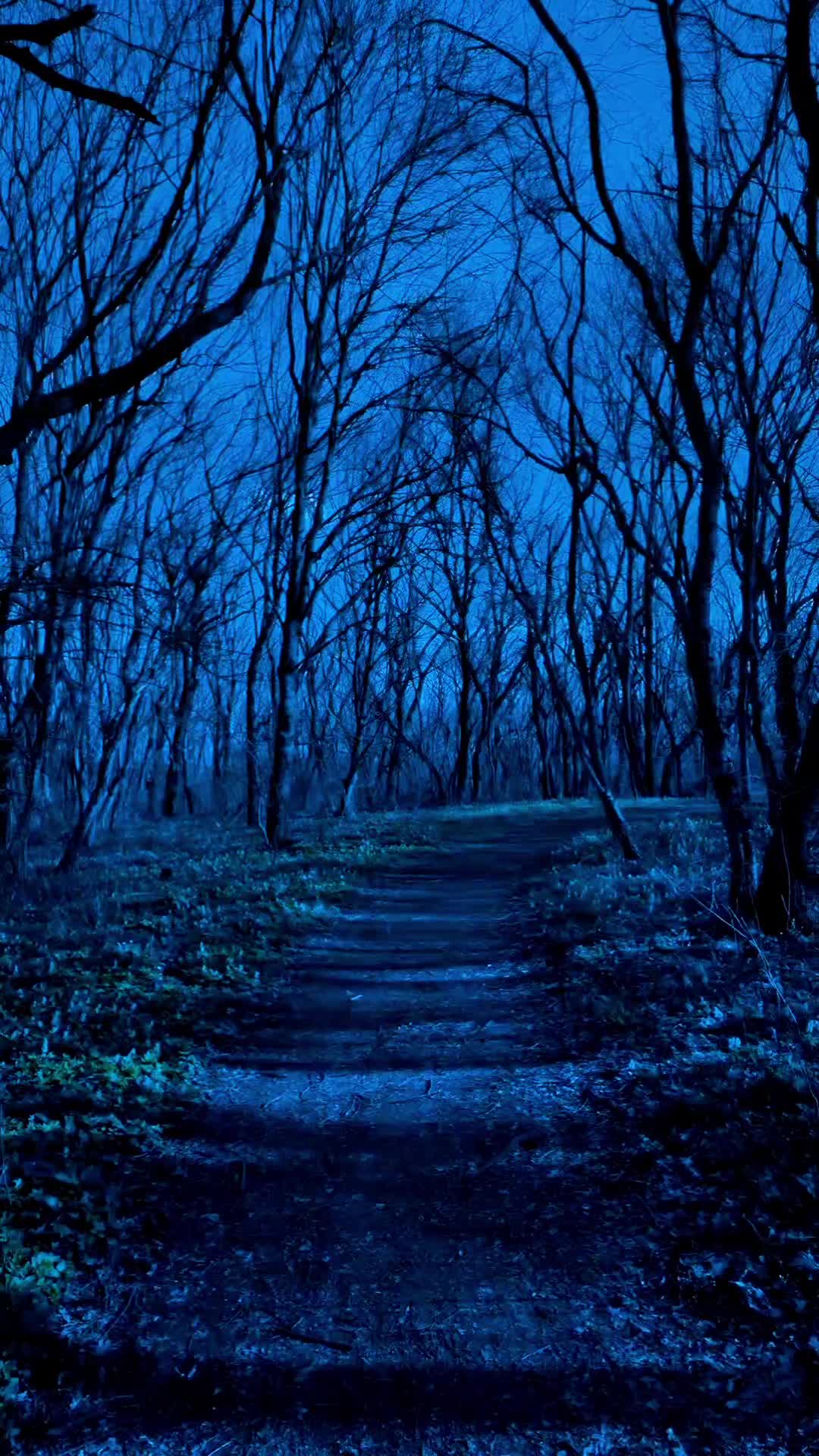 @NatureVibes0