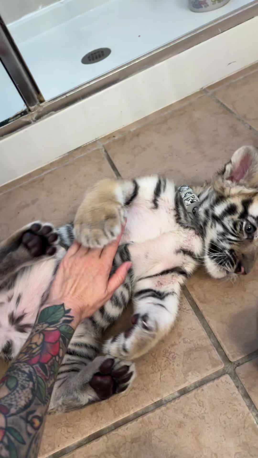 @Texas Wildlife Park