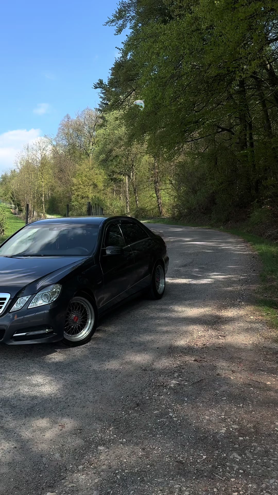 @cosmin_250c