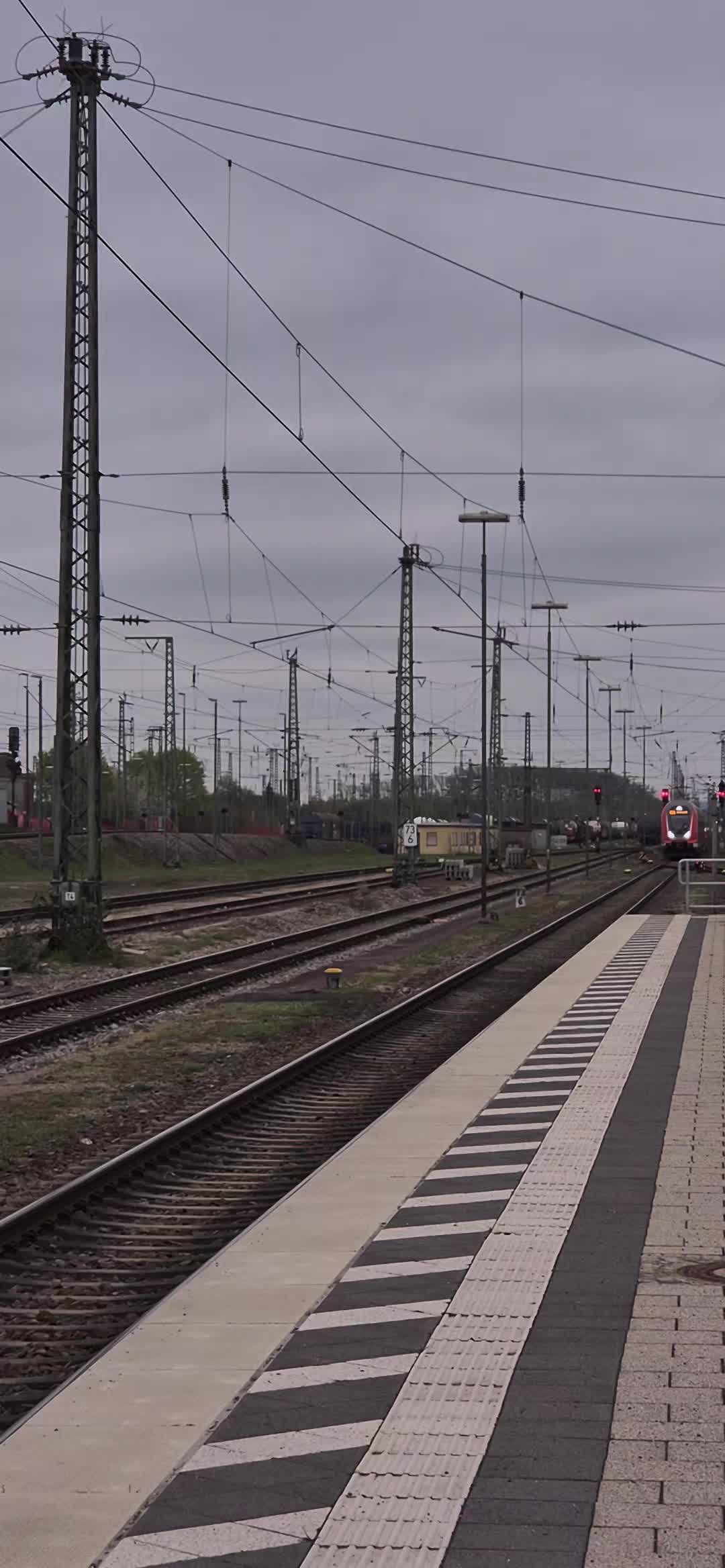 @trainspotter_krabbe