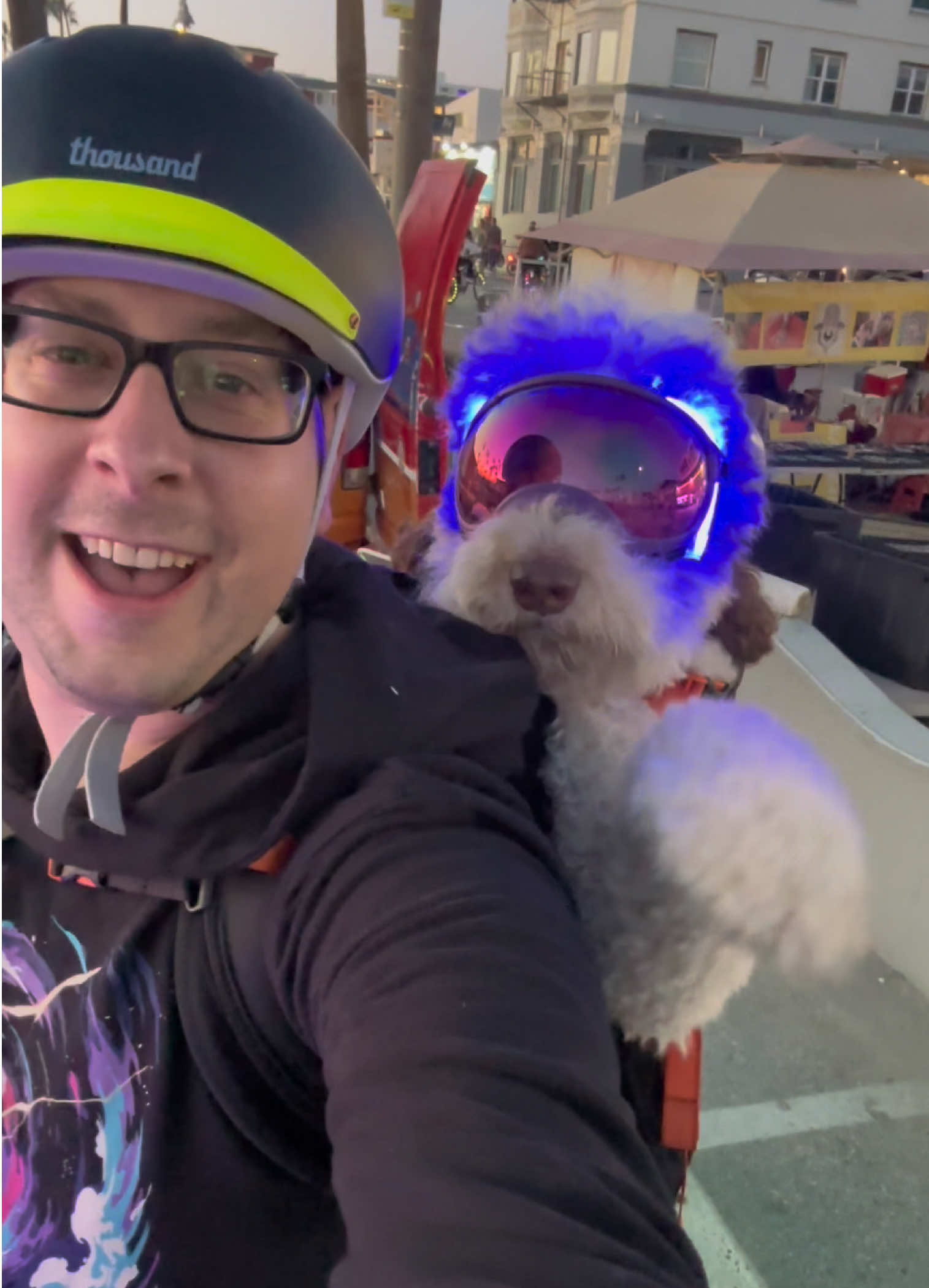 @TheScooterPup