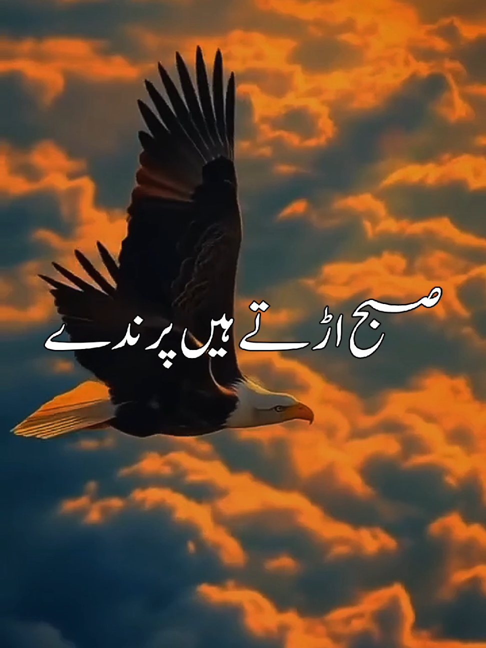 @HOLY QURAN
