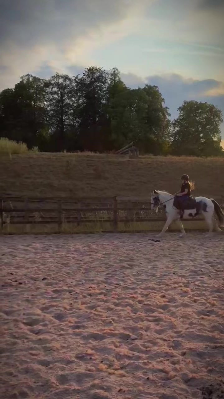 @LottiesHorseAdventures🦄🐴