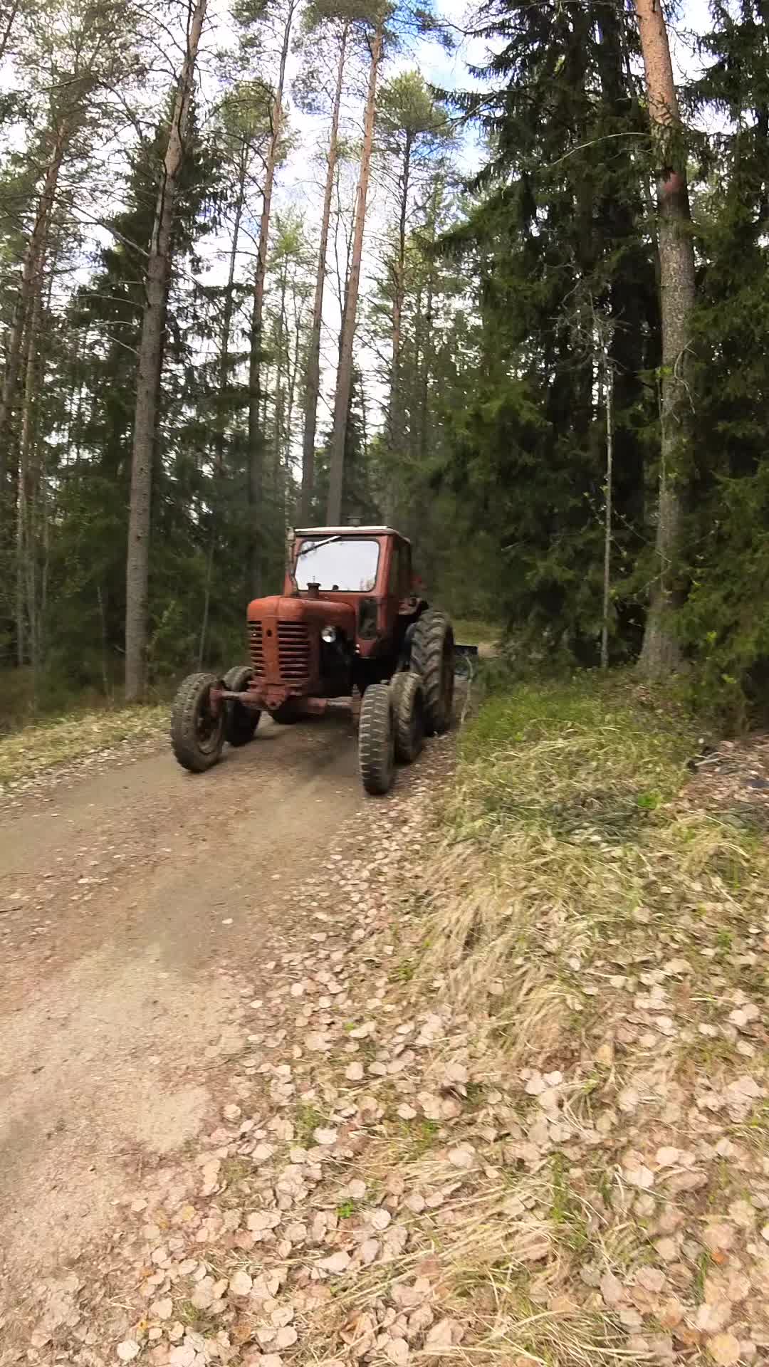@ForestAndWheels