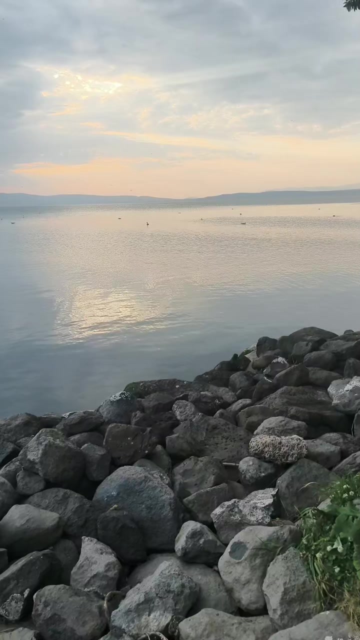 @Göksal Güneş