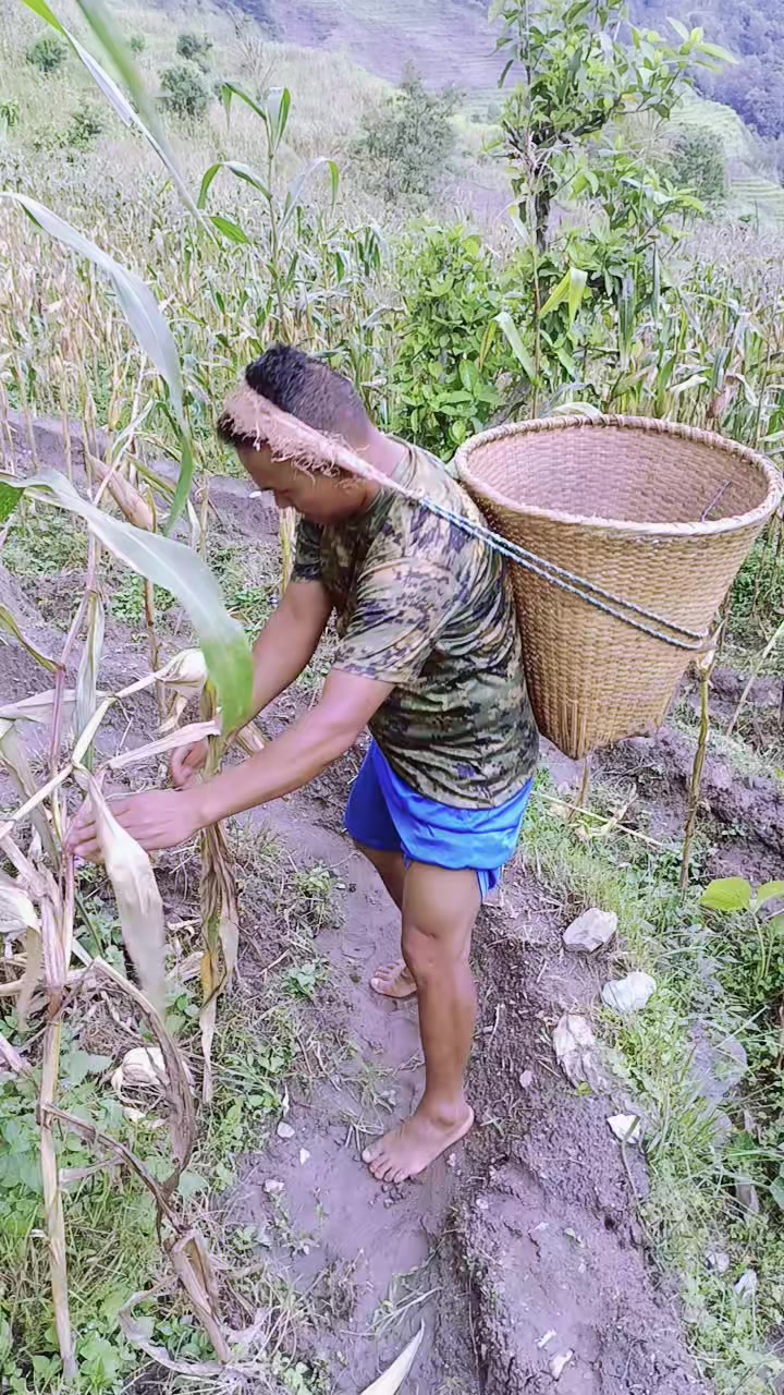 @रिजन