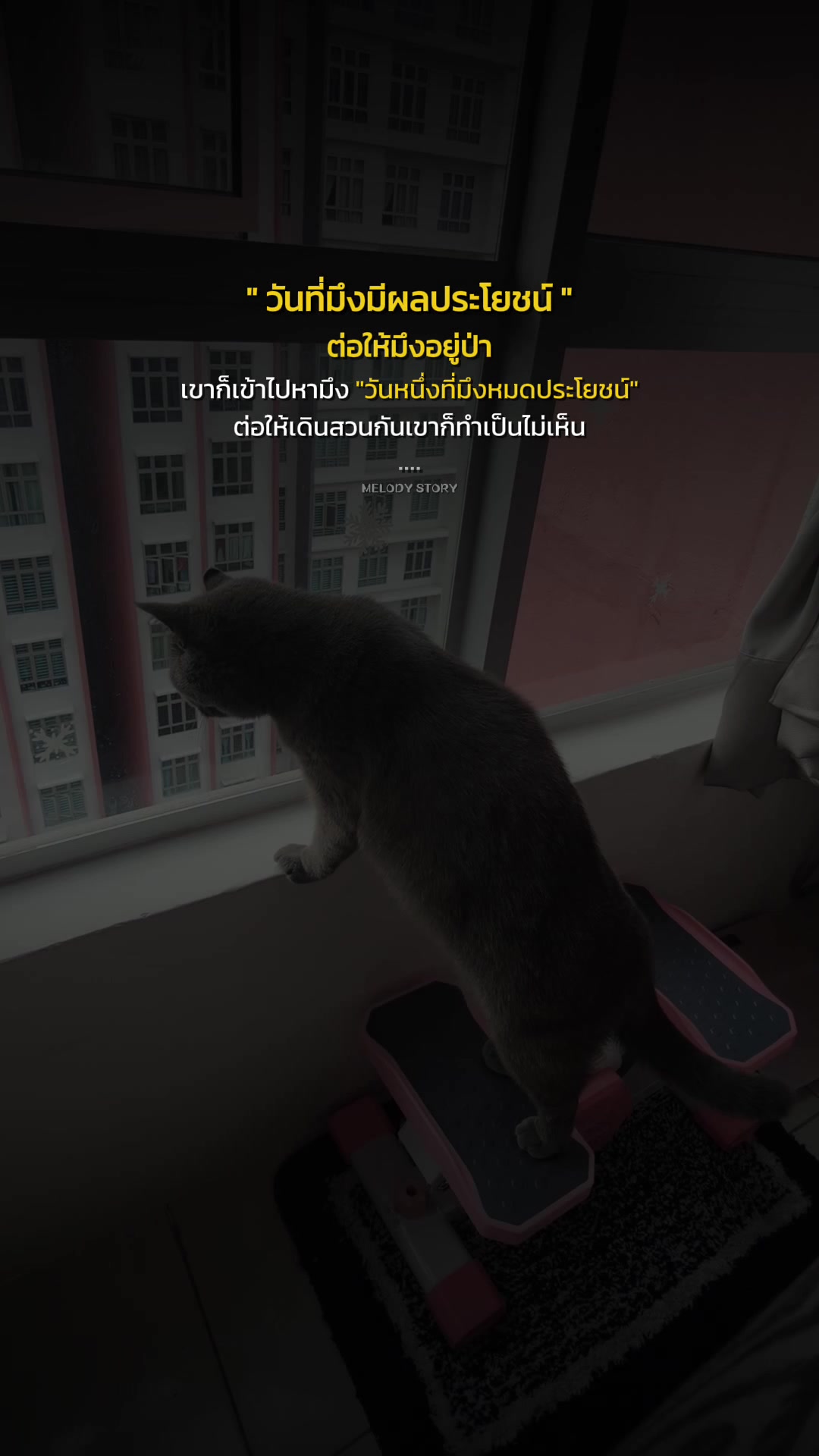 @🍀𝔹𝕖𝕟𝕟𝕪ชอบกินของหวาน 🧁🧋