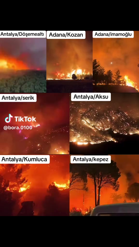 @Havva Güney