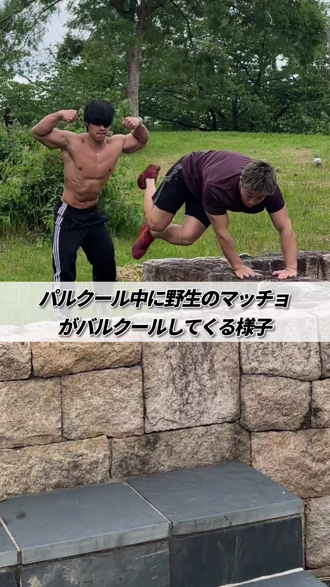 @たんぱくとりお