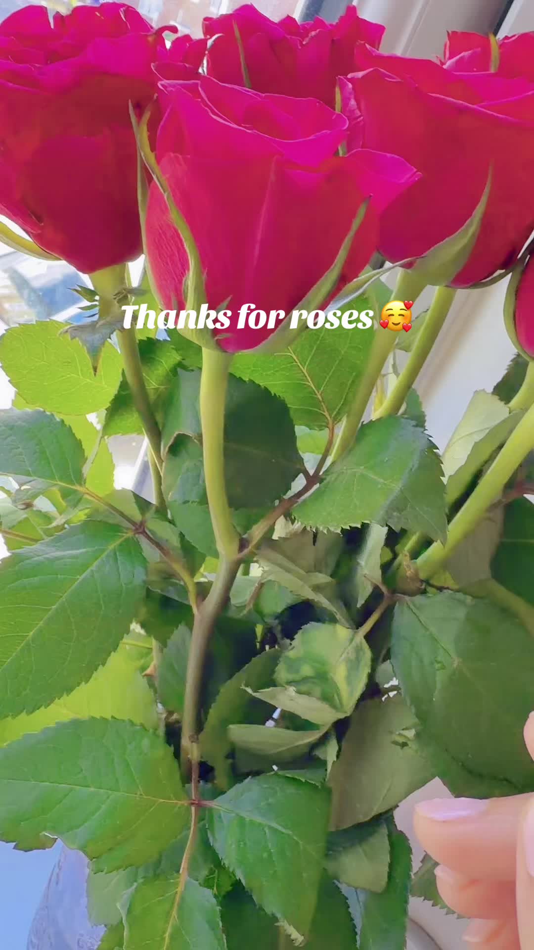@Sonia.sonu