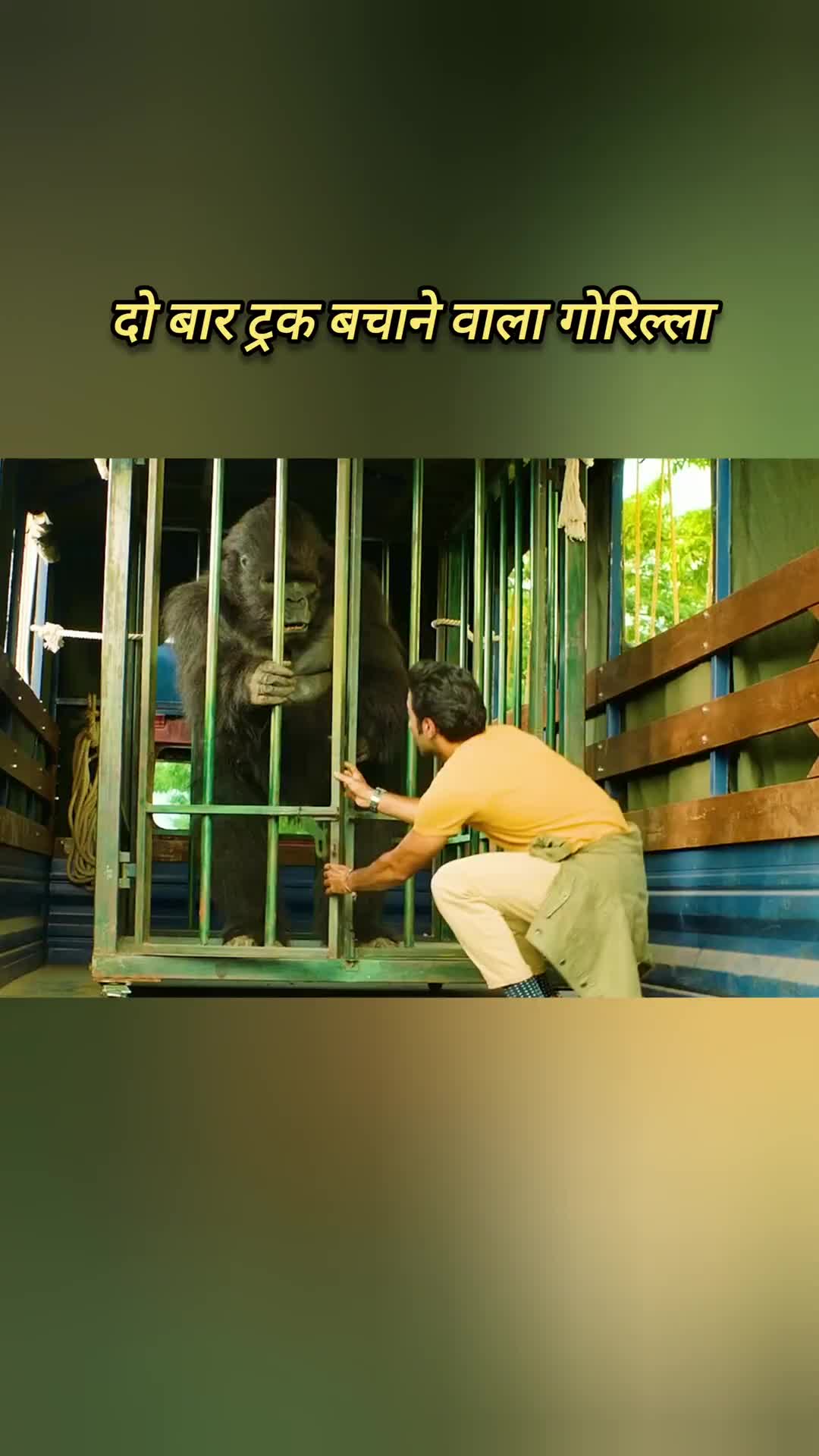 @Movies Reviews