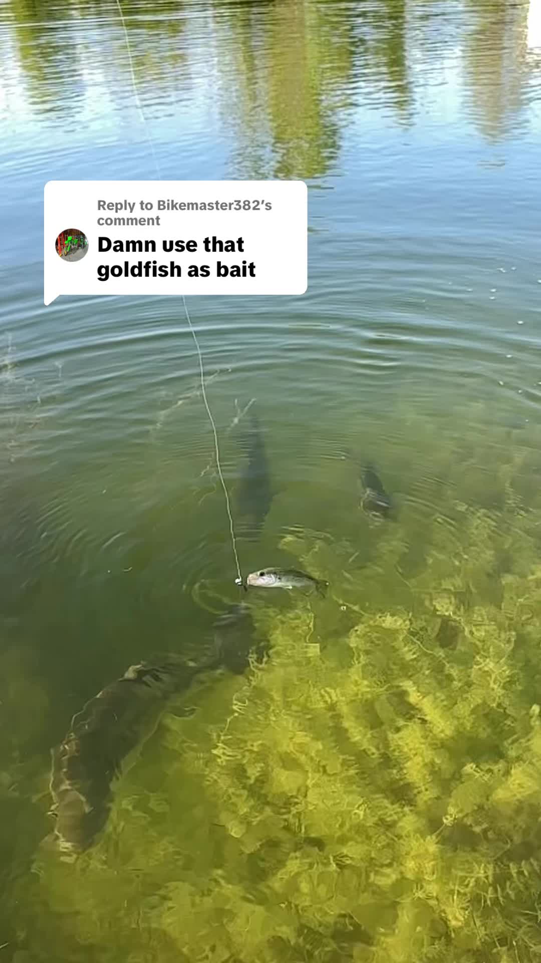 @Anglers3dOutpost