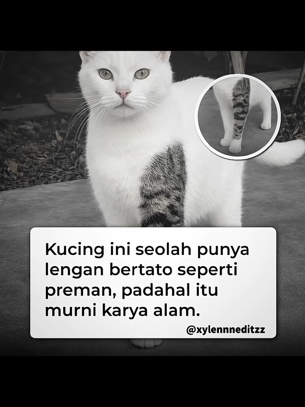 @๐๐ฎ๐ก๐๐ฃ ๐๐ ๐๐๐